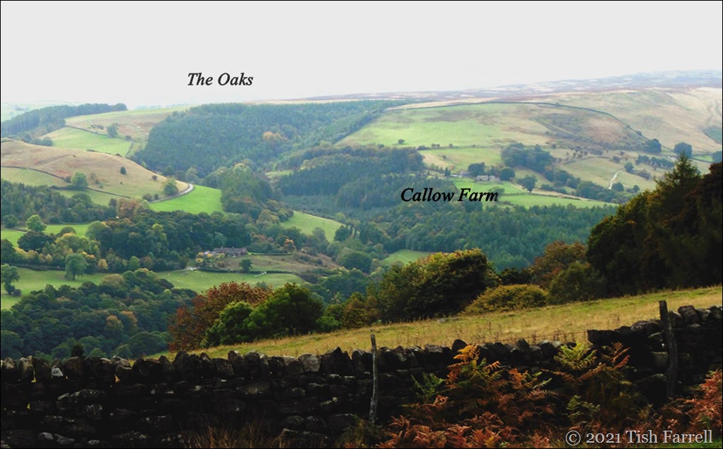 P1080998 Callow Farm