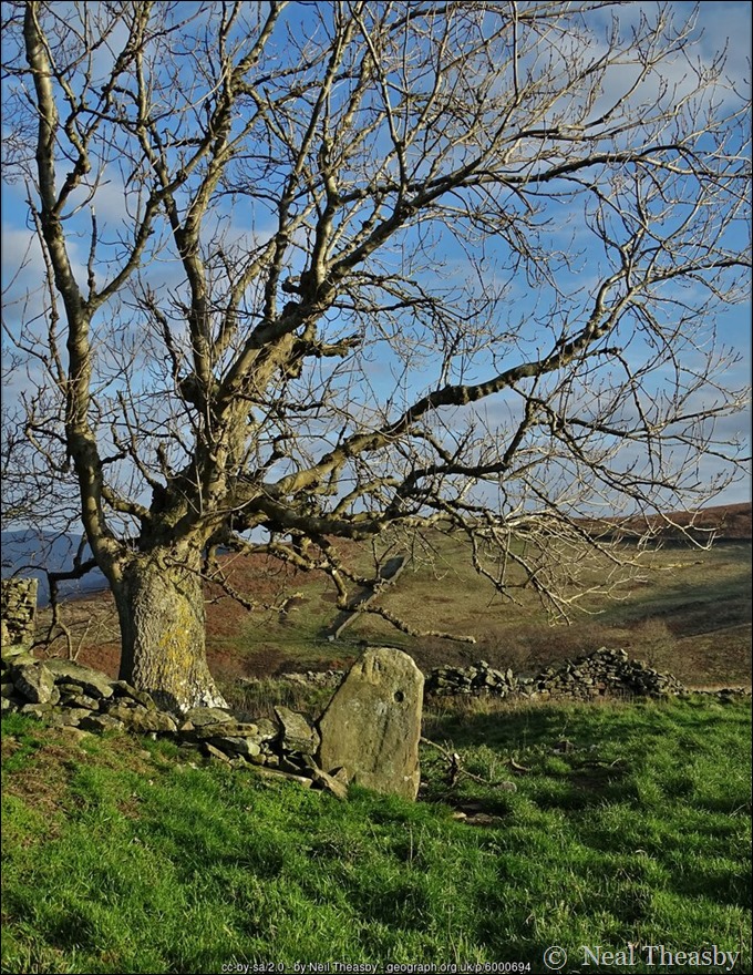 Gotherage possibiity geograph-6000694-by-Neil-Theasby