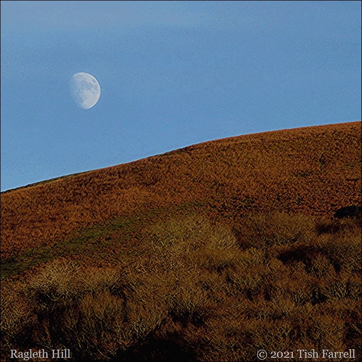 Ragleth Hill Dec 2020