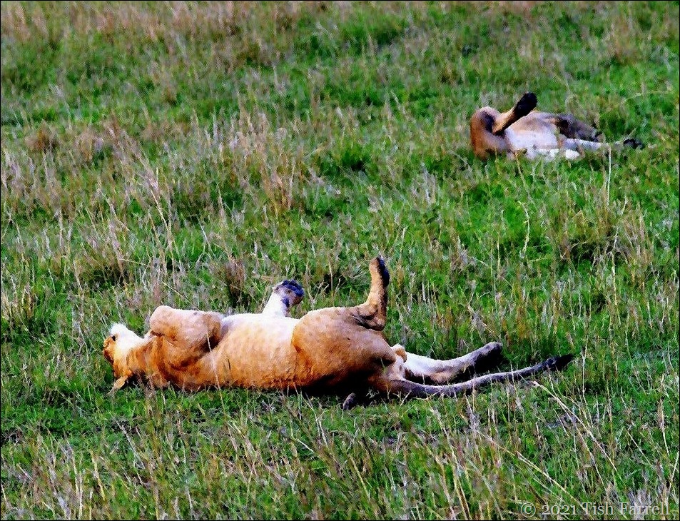 Scan-140726-0003 (7)