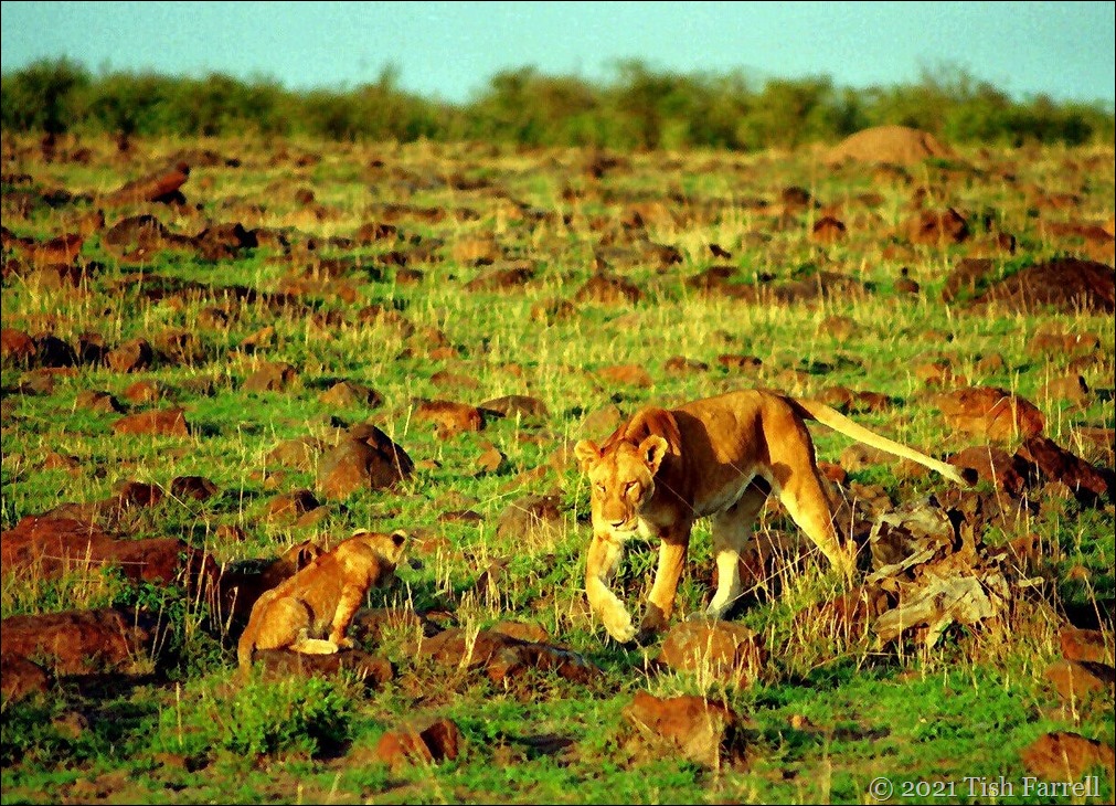 Scan-140726-0004 (8) - Copy - Copy