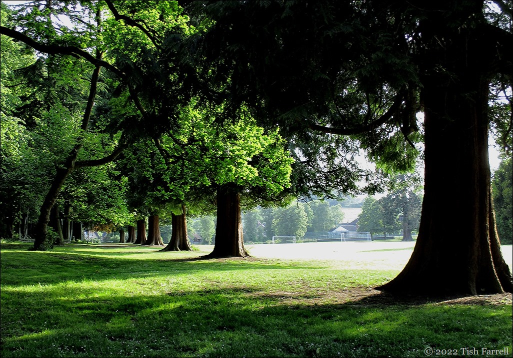 IMG_0663re IMG_0663re