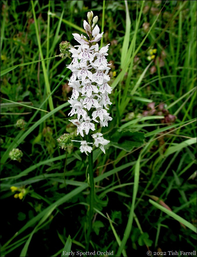 IMG_0701re IMG_0701re