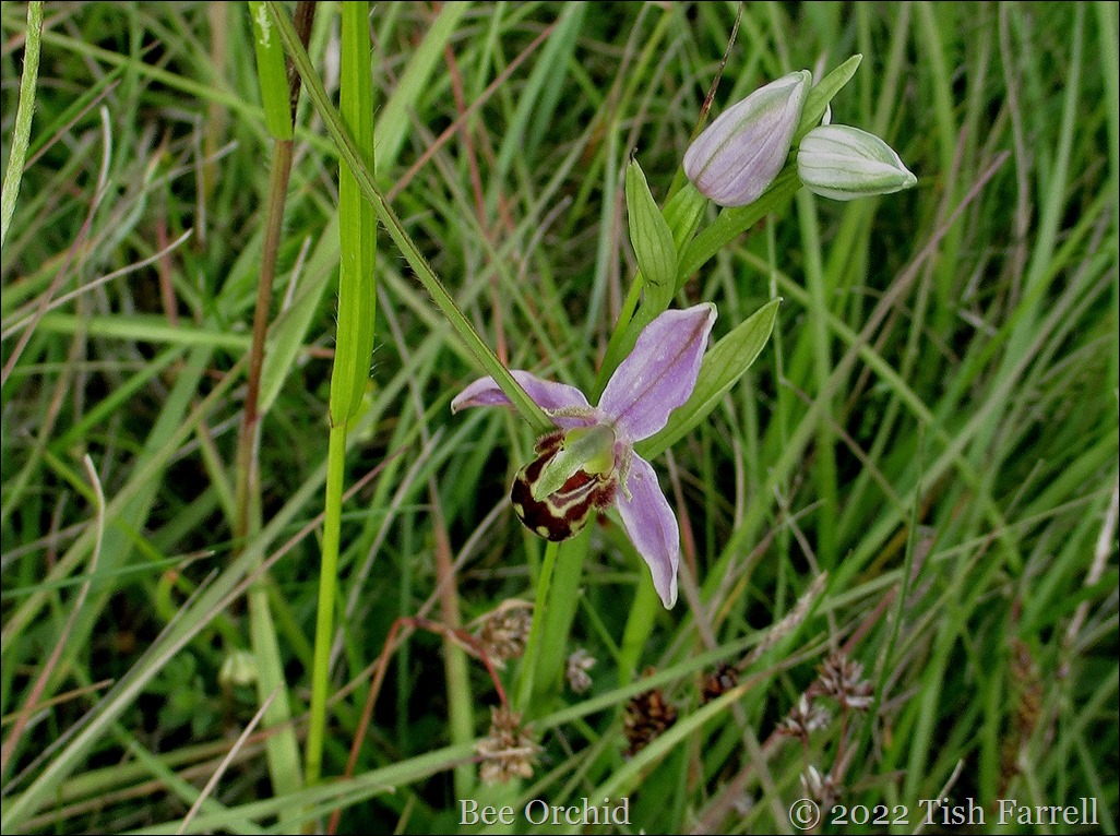 IMG_0703re2 IMG_0703re2