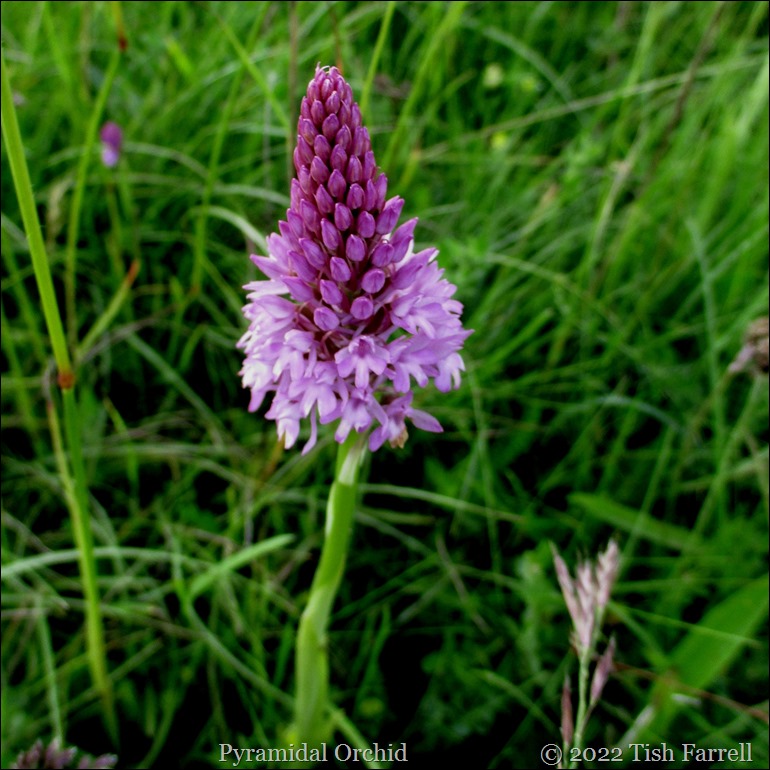 IMG_0712re IMG_0712re