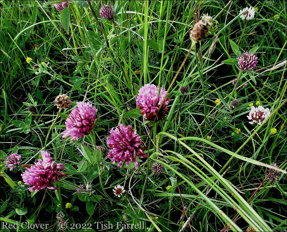 IMG_0715re IMG_0715re