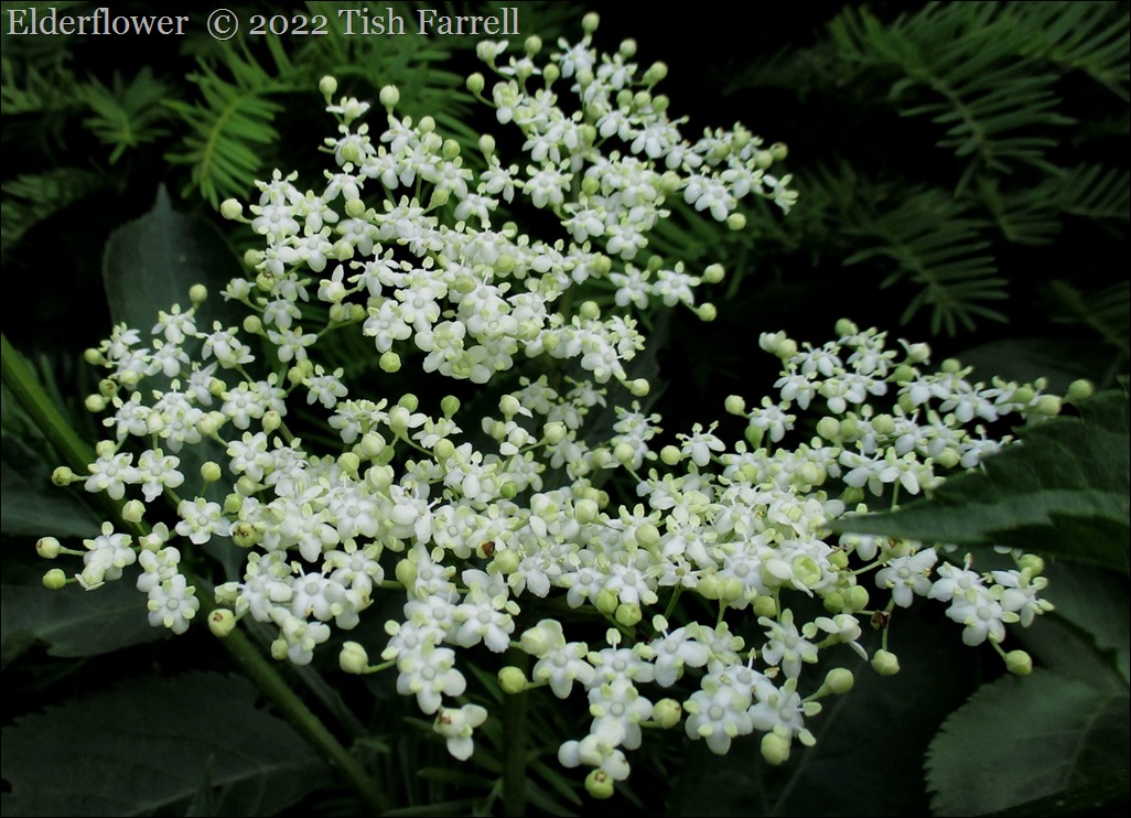 IMG_0748re IMG_0748re