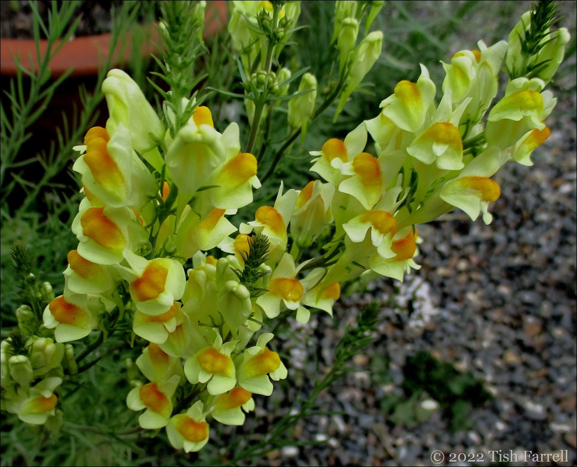 IMG_0961ed IMG_0961ed