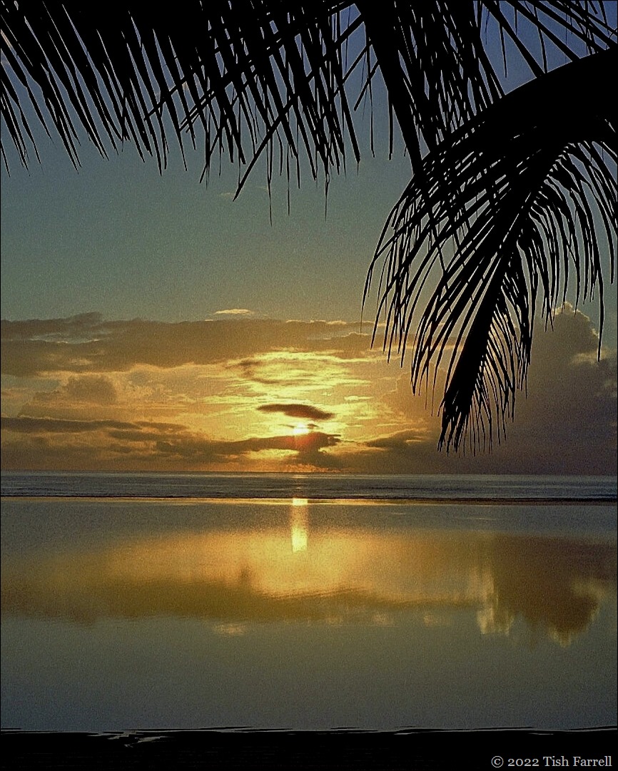 sunrise on the lagoon ed