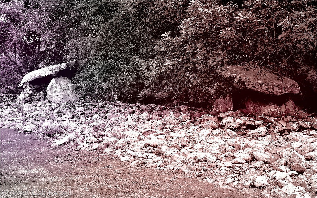 60 dyffryn ardudwy effect