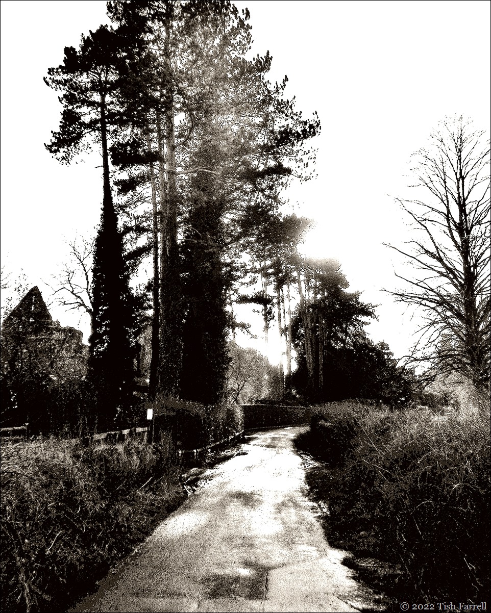 Much Wenlock lane beside Priory ruins