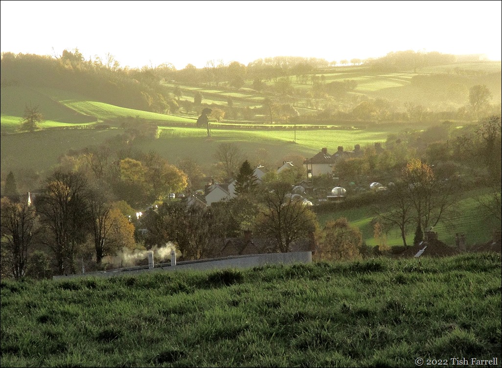 IMG_2023cr IMG_2023cr