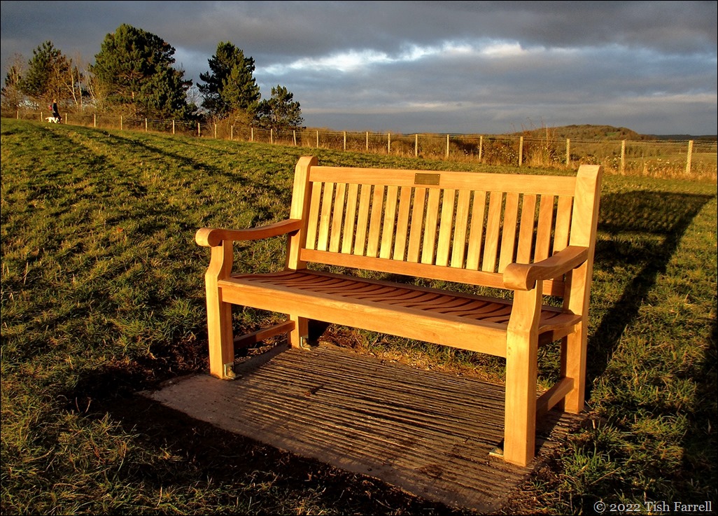 IMG_2040cr IMG_2040cr