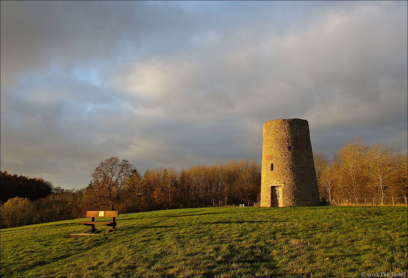 IMG_2049cr IMG_2049cr