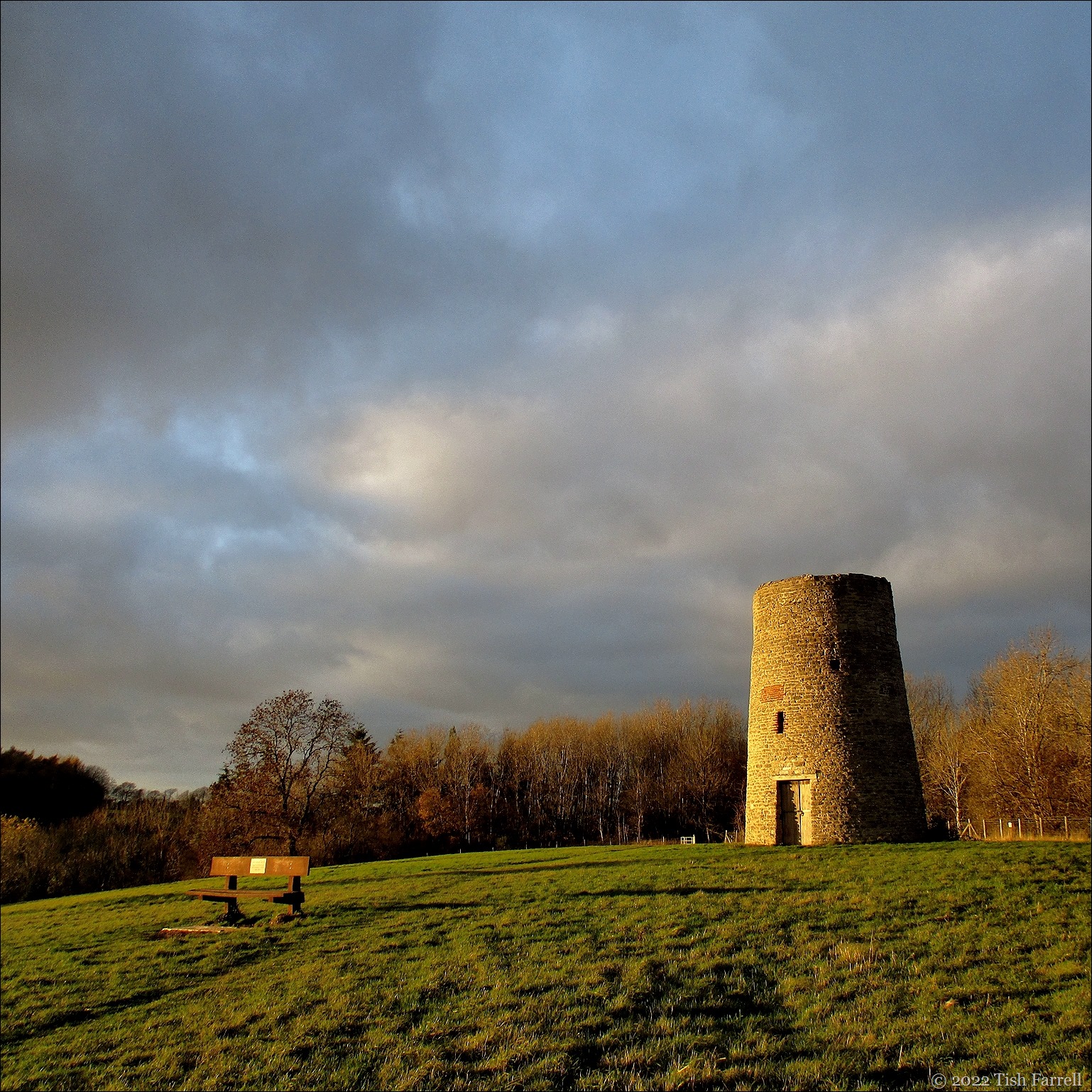 IMG_2049sq IMG_2049sq