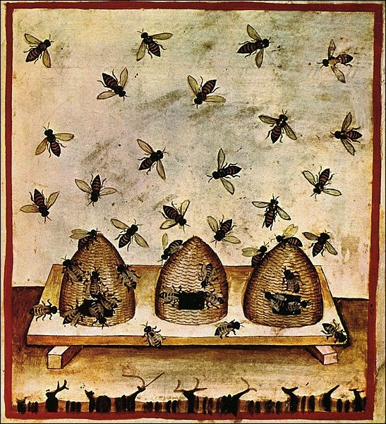 bee skeps wikipedia public domain image