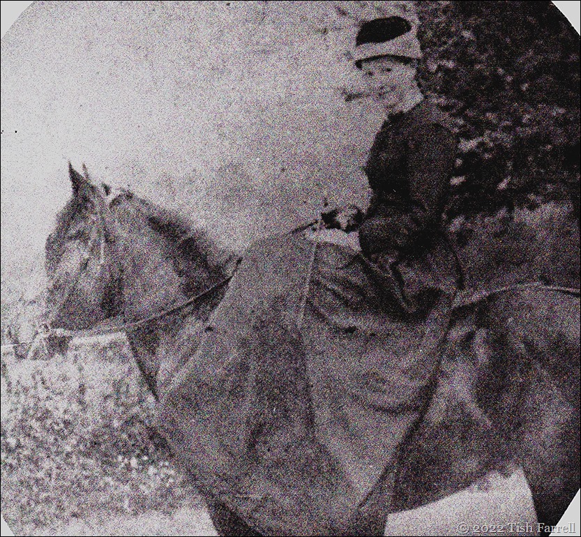 Mary Ann Williamson Fox of Callow b.1863