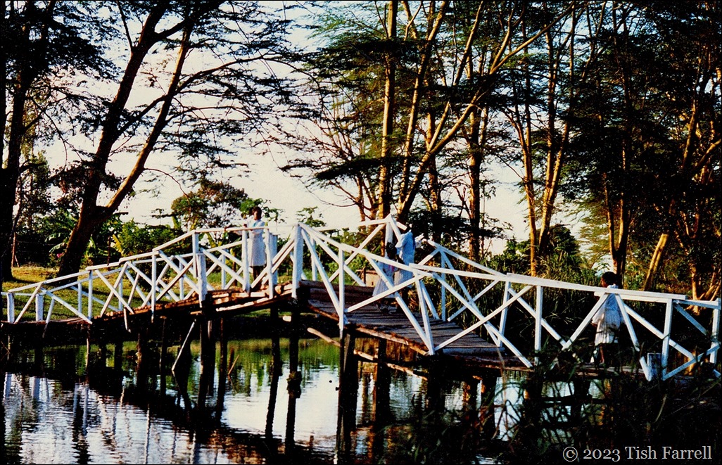 Kiboko ed garden bridge Kiboko ed garden bridge