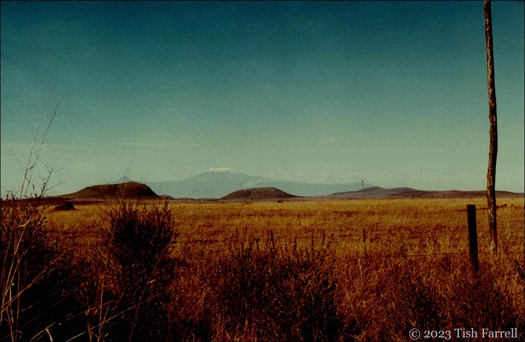 Kiboko ed Kilimanjaro Kiboko ed Kilimanjaro