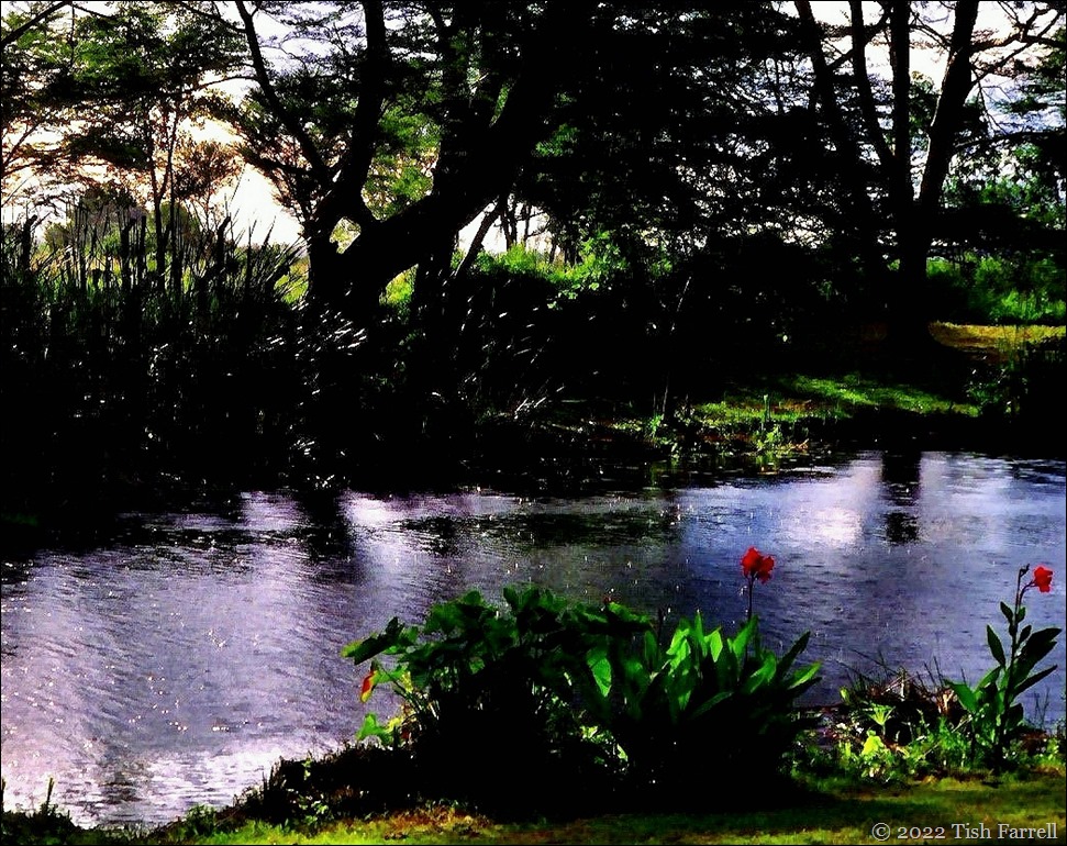 Kiboko ed sundowner rain 2 Kiboko ed sundowner rain 2