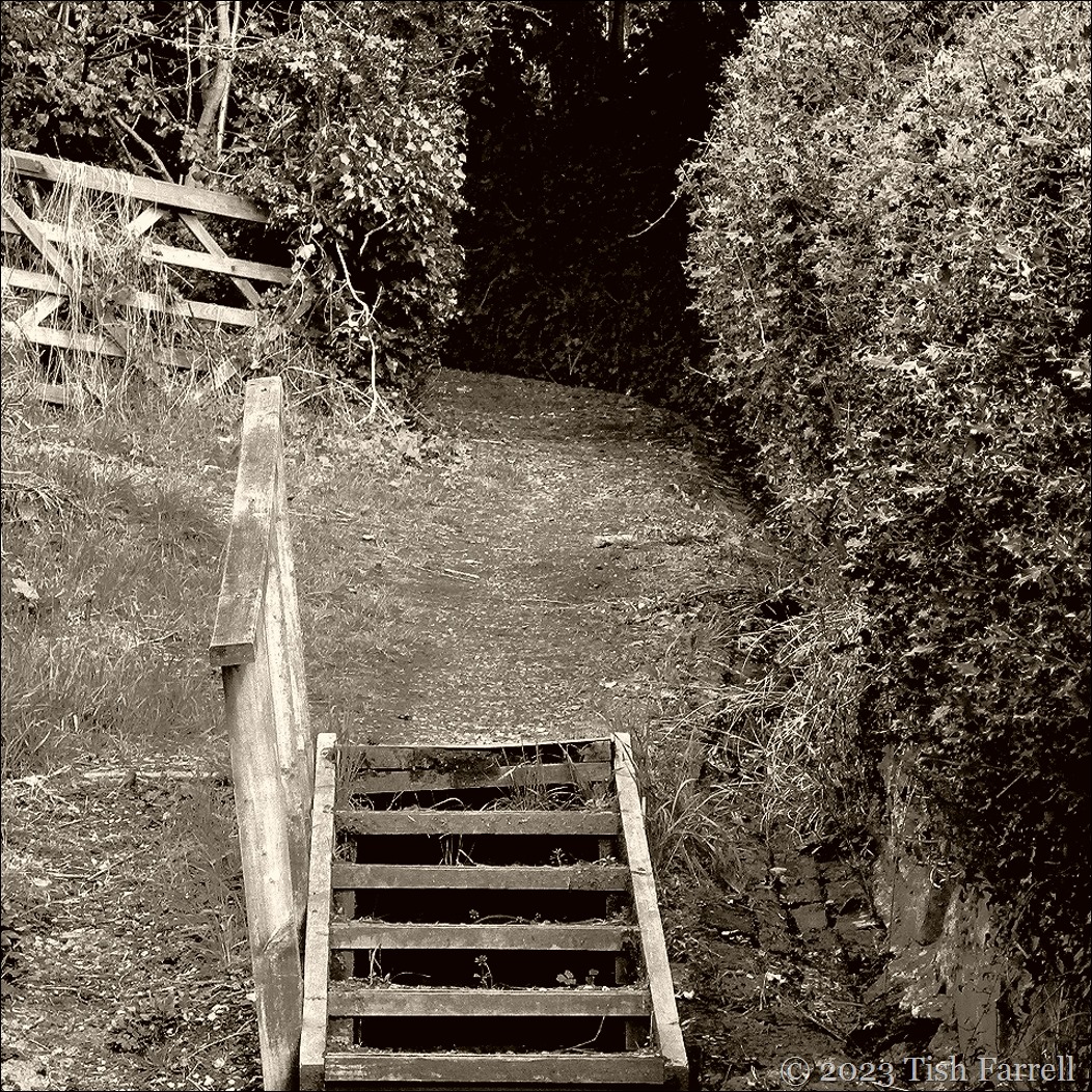 Botswell Lane up