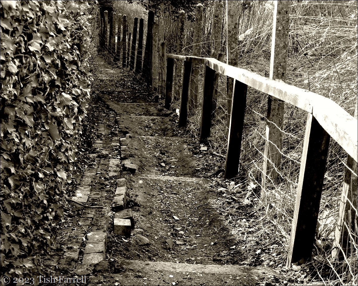 Botswell Lane