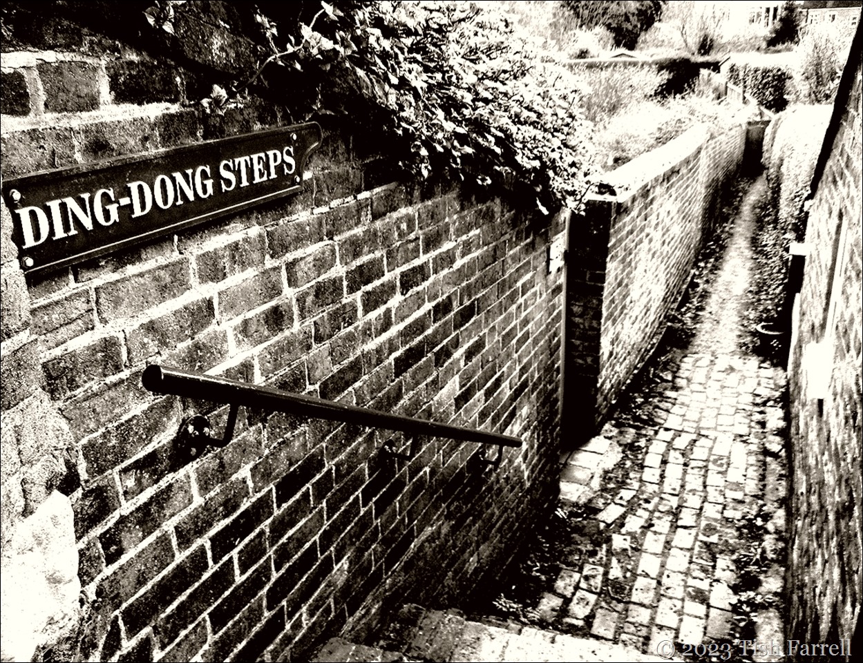 Ding Dong steps 2
