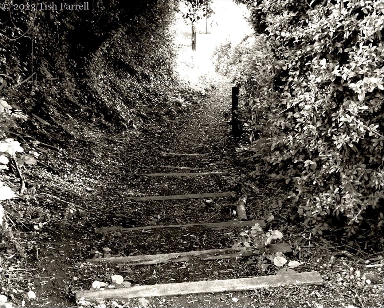 Jews Jitty sepia