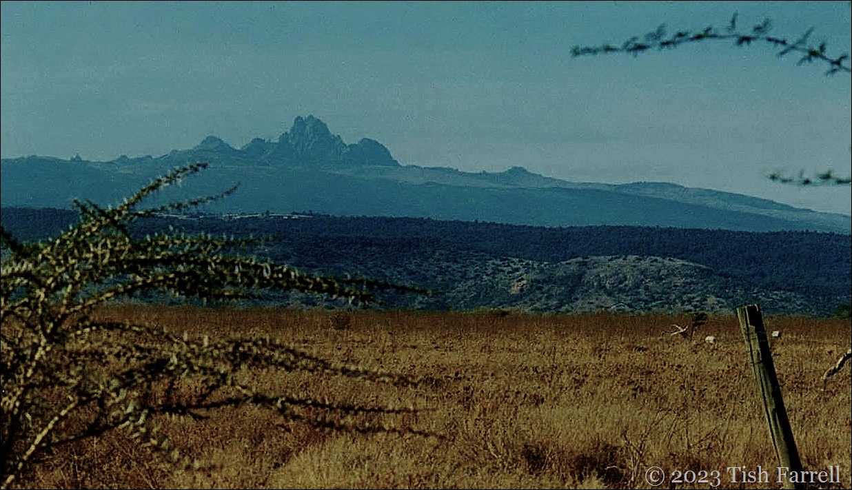 Mt Kenya