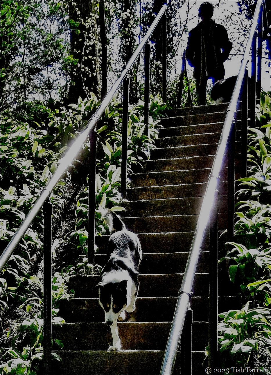 P1030733 - Copy (2)cr2