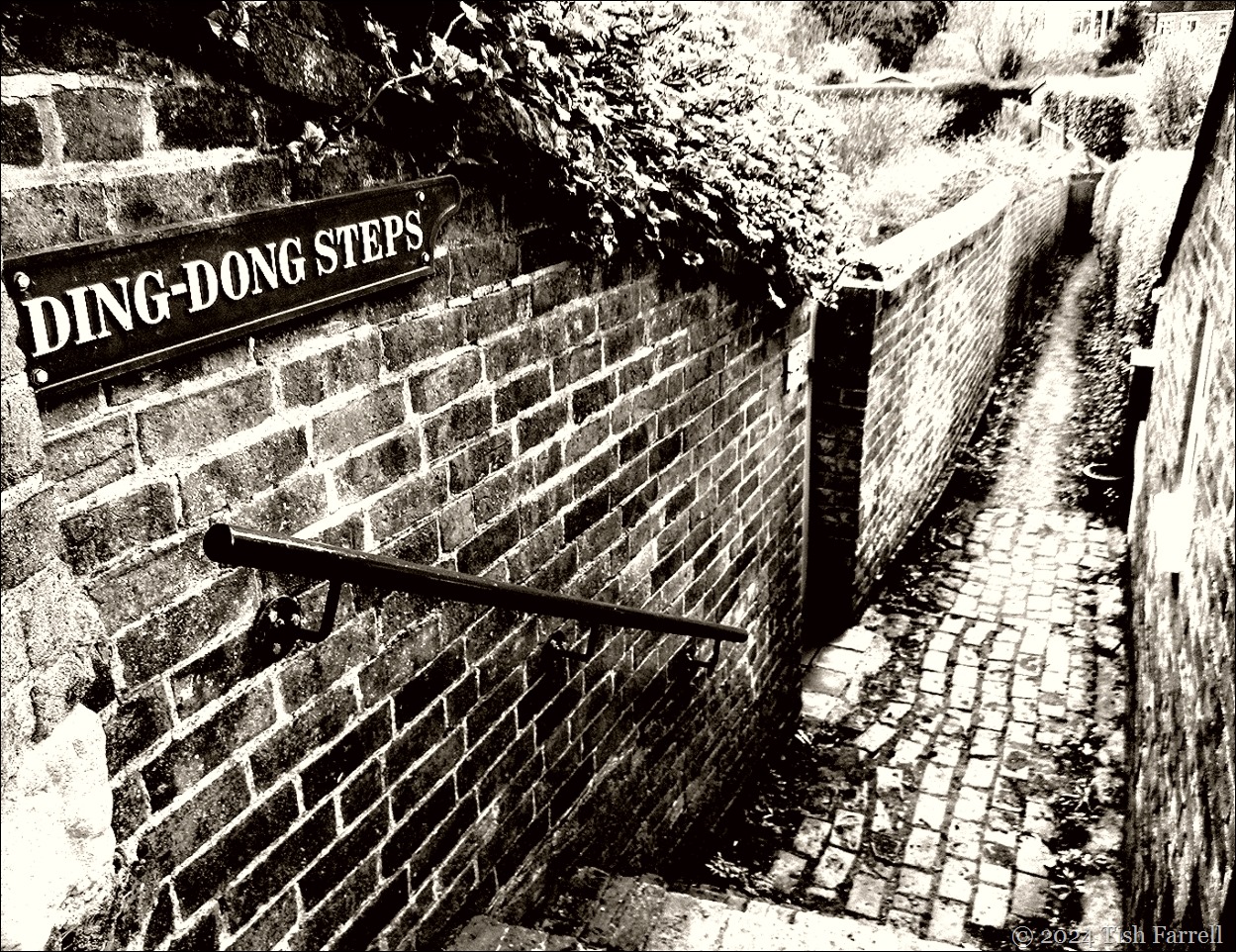 Ding Dong steps 2 Ding Dong steps 2