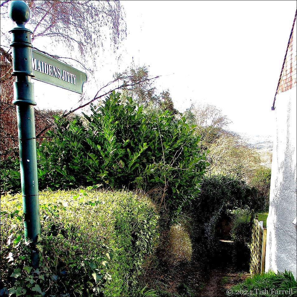 IMG_2703ed IMG_2703ed