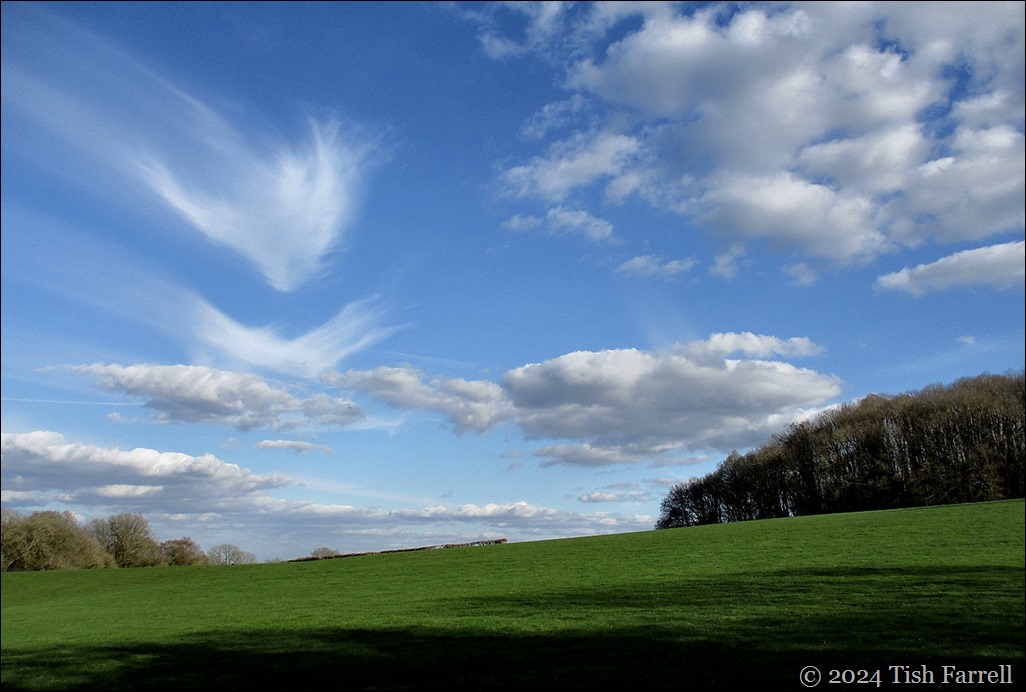 IMG_2716ed IMG_2716ed