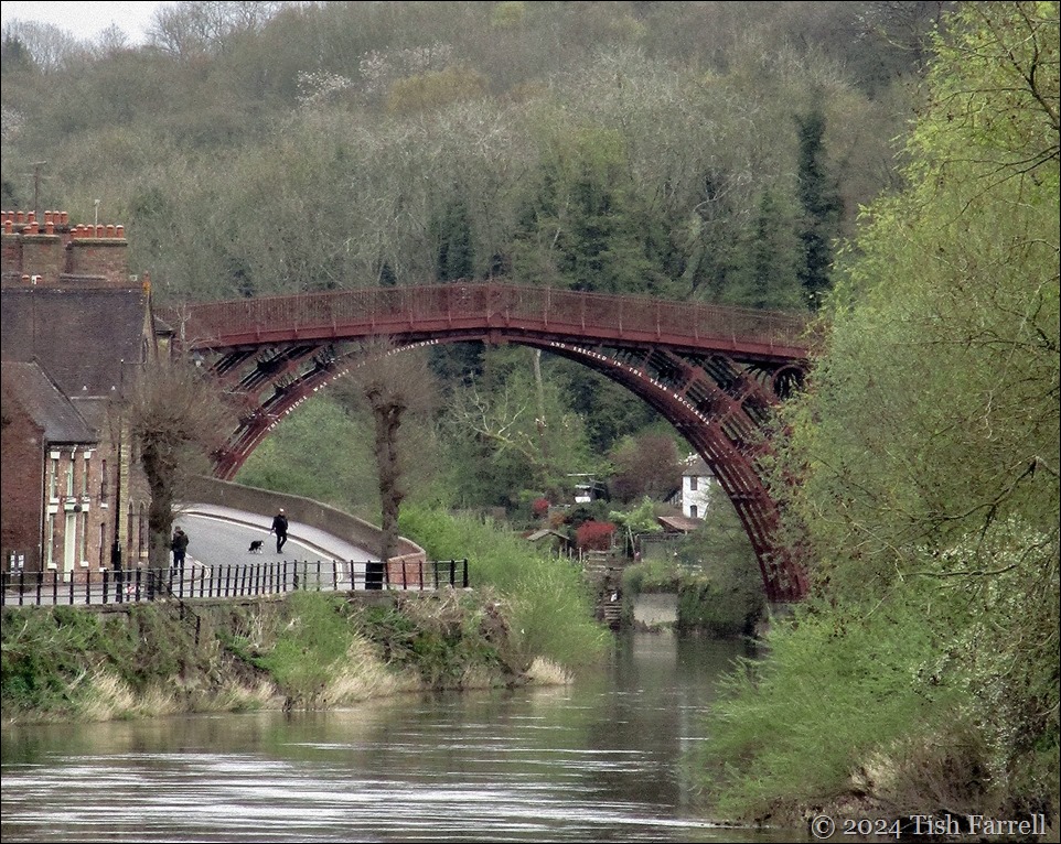 IMG_3015ed IMG_3015ed