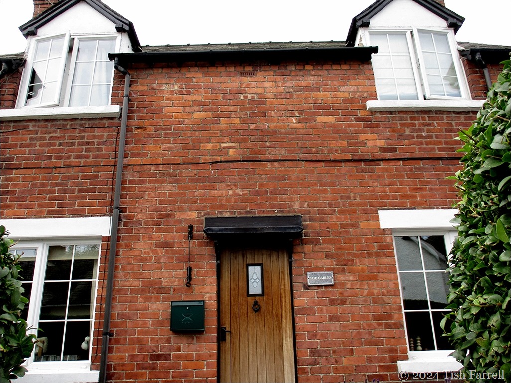 IMG_3693cr IMG_3693cr