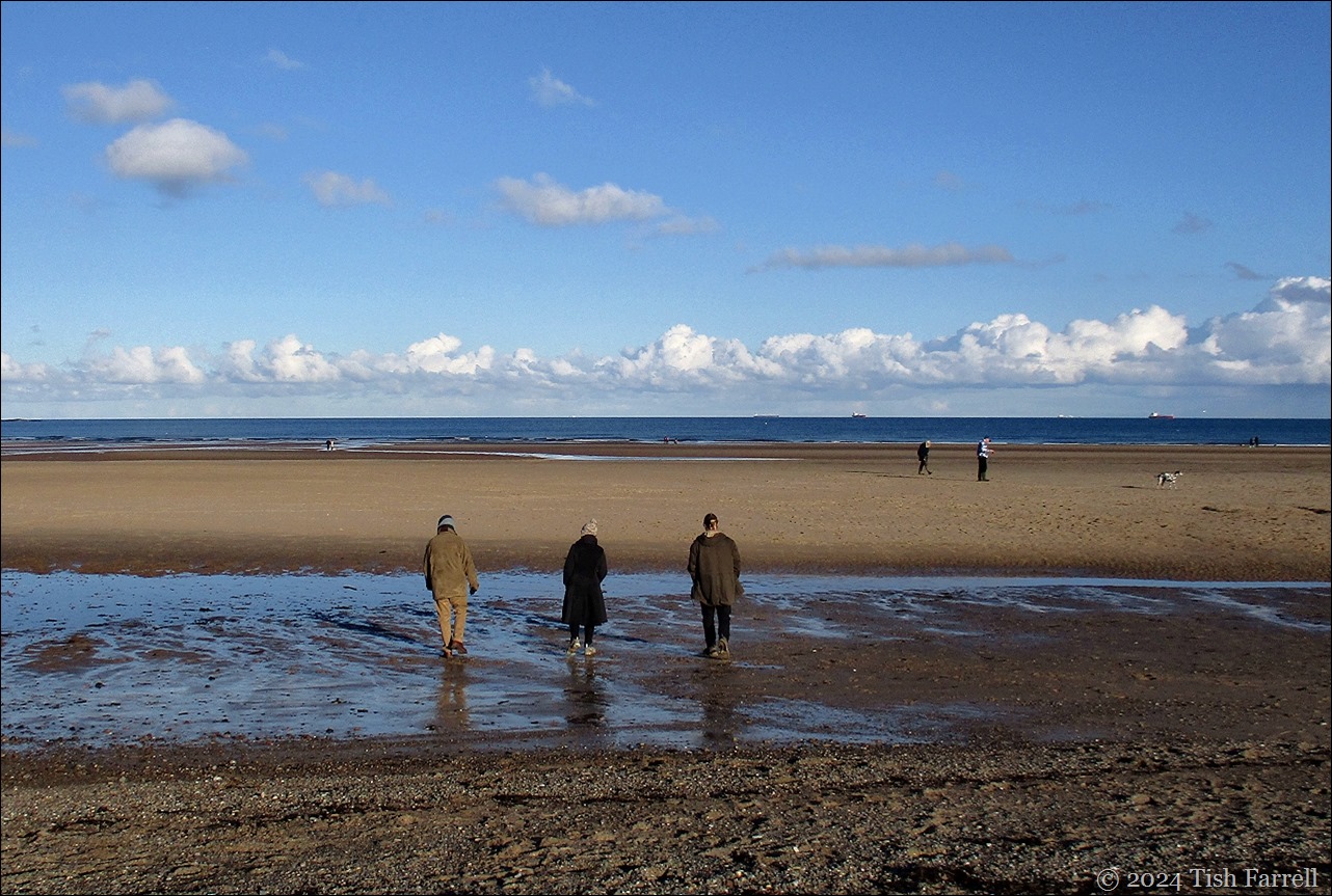 winter beach winter beach