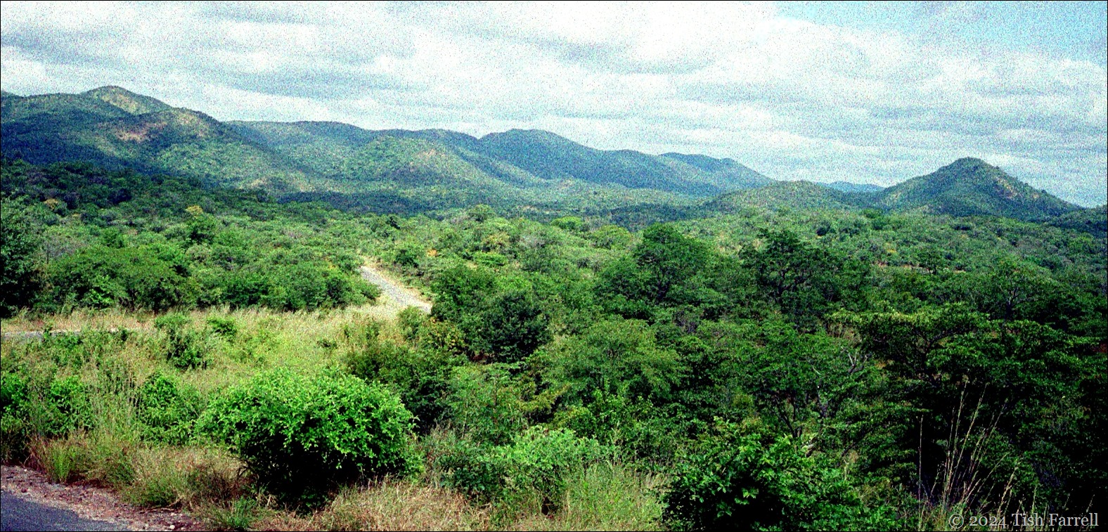 Eastern Province heaader