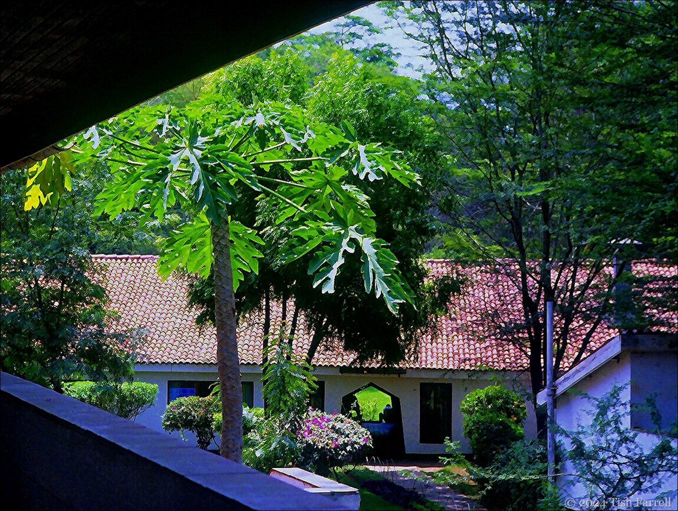 Kiboko ed dining room