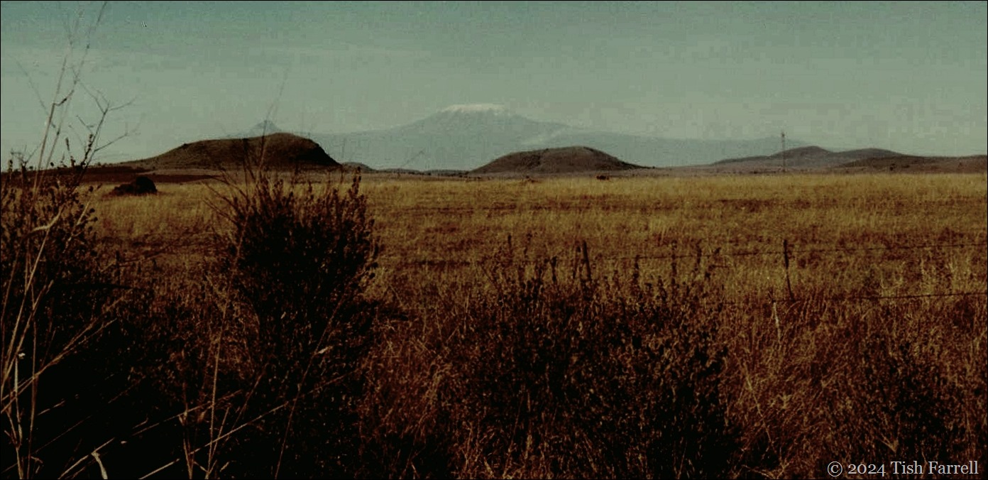 Kiboko ed Kilimanjaro header