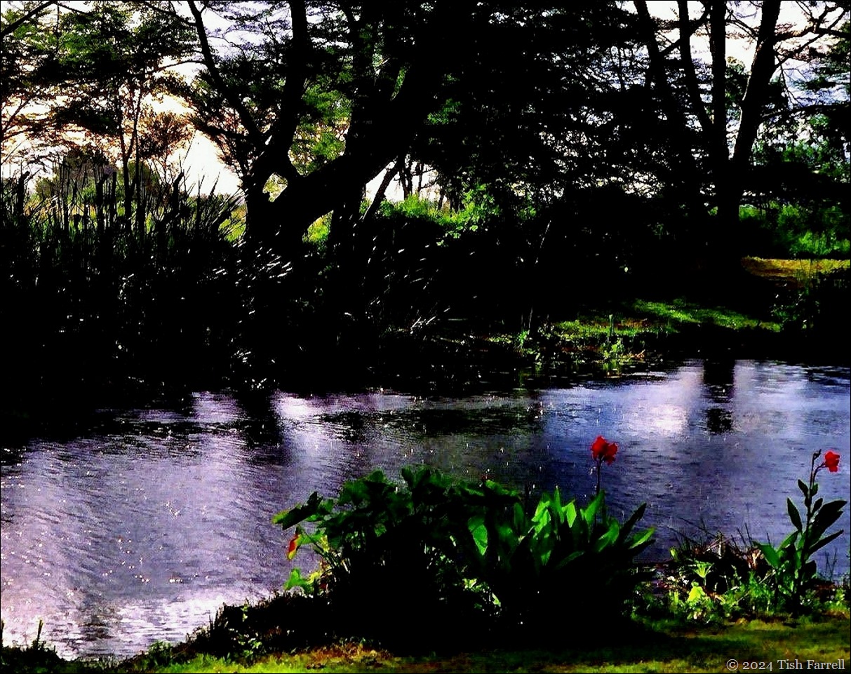 Kiboko ed sundowner rain 2