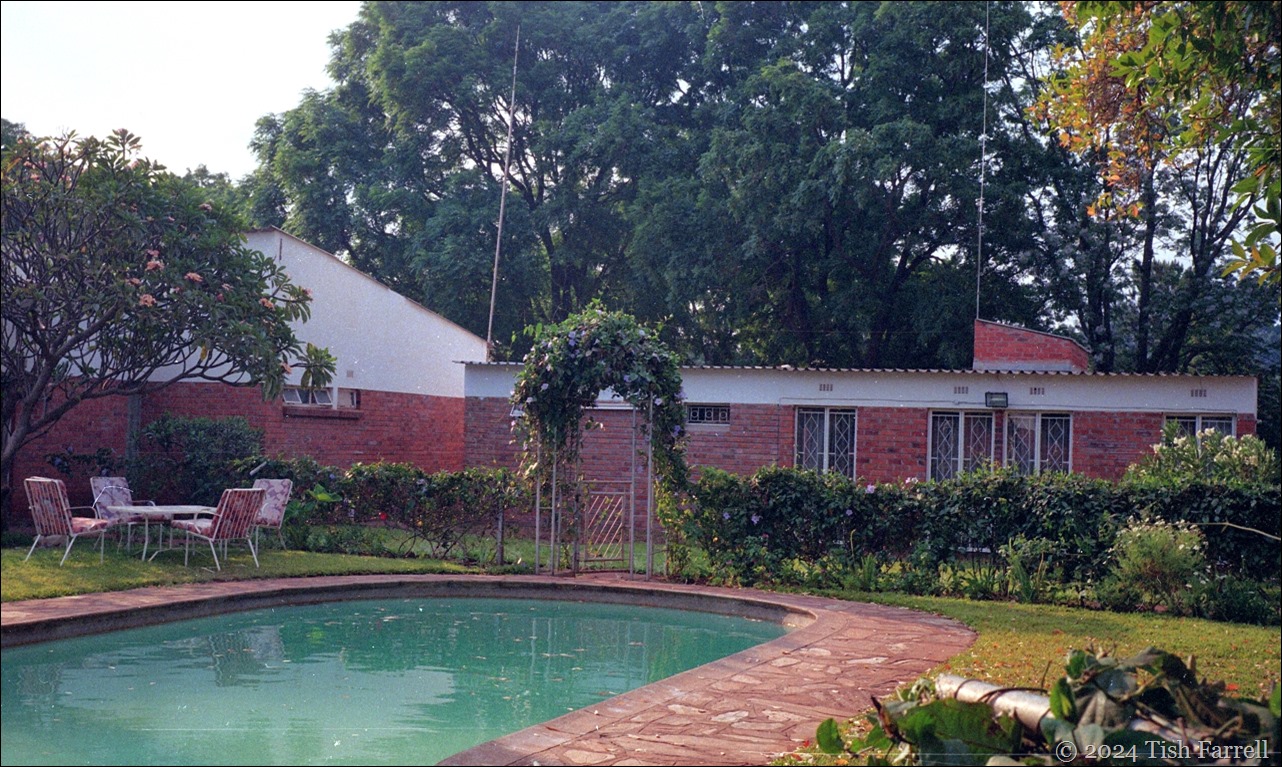 Sable Road - compound pool and neighbours' house