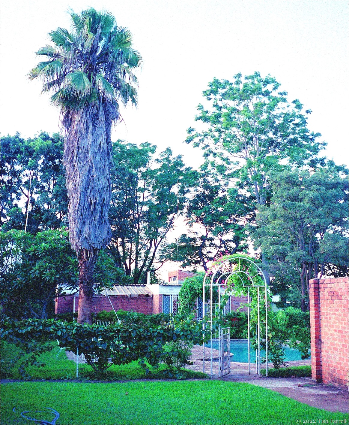 Sable Road - compound pool