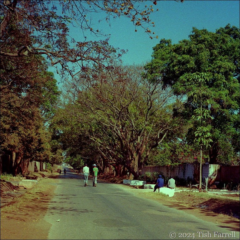 Sable Road in the dry season ed
