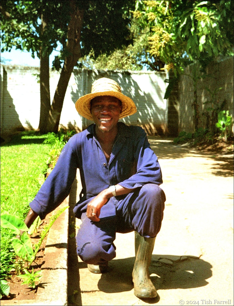 Stephen Nyangu the compound gardener 4