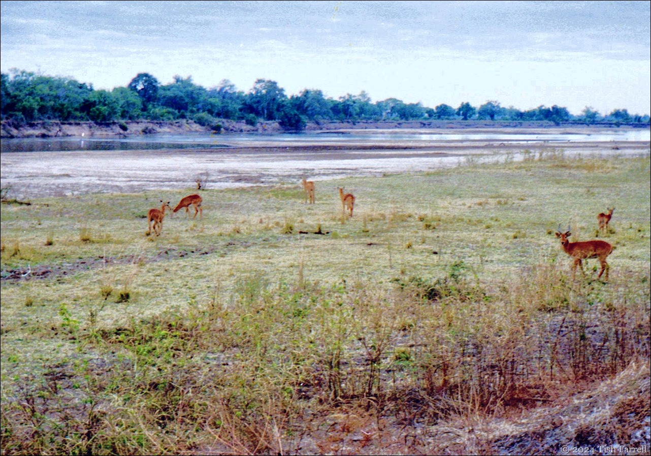 img20240926_15414181ed puku img20240926_15414181ed puku