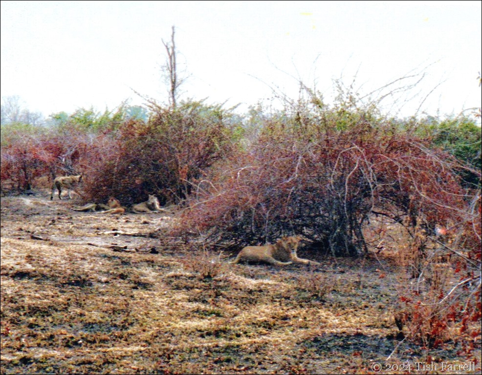 img20240926_15434749ed img20240926_15434749ed