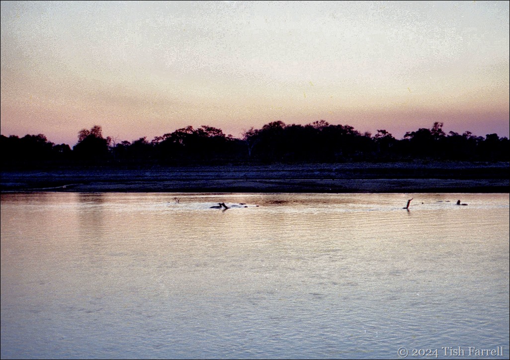 img20240926_15450597ed