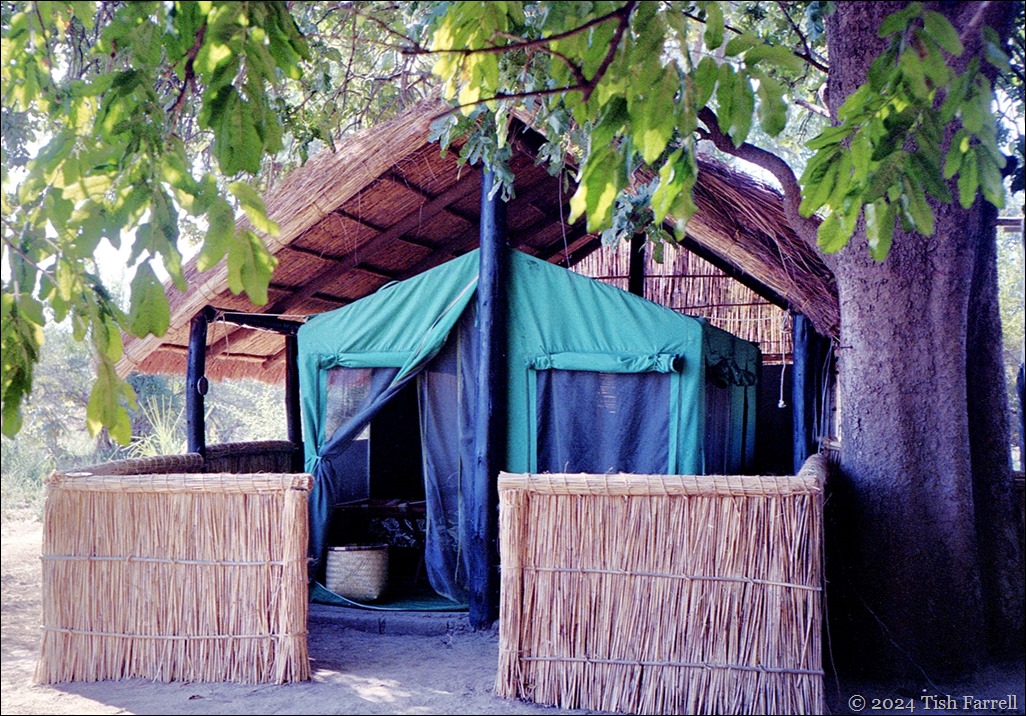 img20240926_16210951Tena tena camp img20240926_16210951Tena tena camp