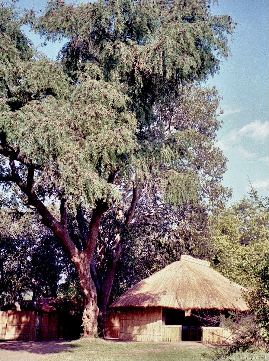 img20240926_16214688 tena tena dining room img20240926_16214688 tena tena dining room