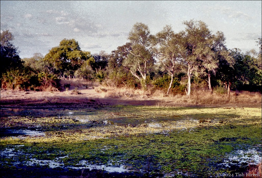 img20240926_16230700ed img20240926_16230700ed